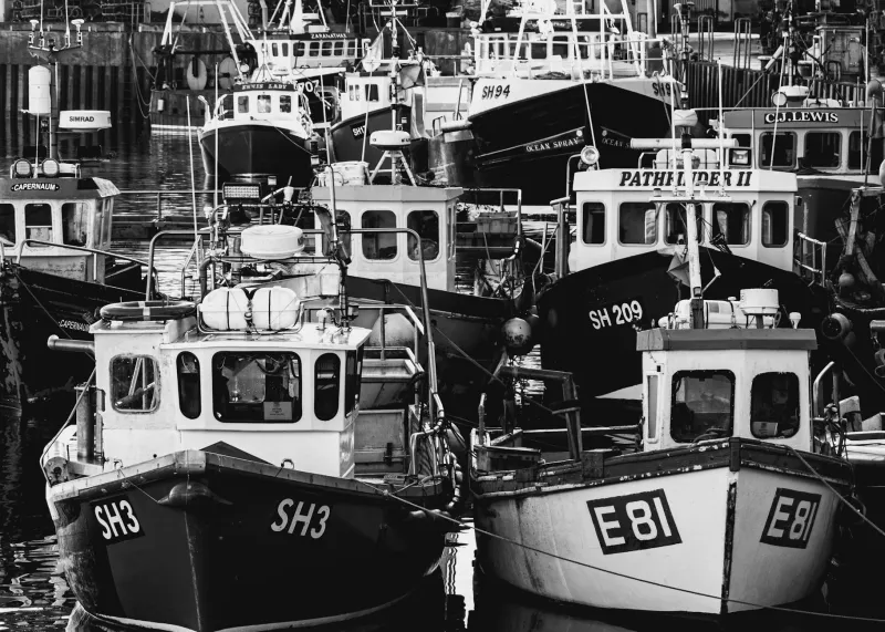 The Fishing Industry Betrayal: How Britain Squandered the Greatest Prize of Brexit