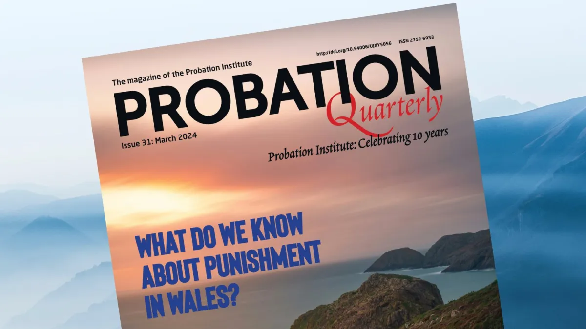 The Probation Institute